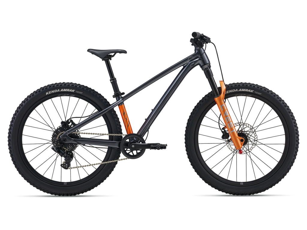 GIANT STP 24 FS 2026