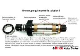 Image de l'article